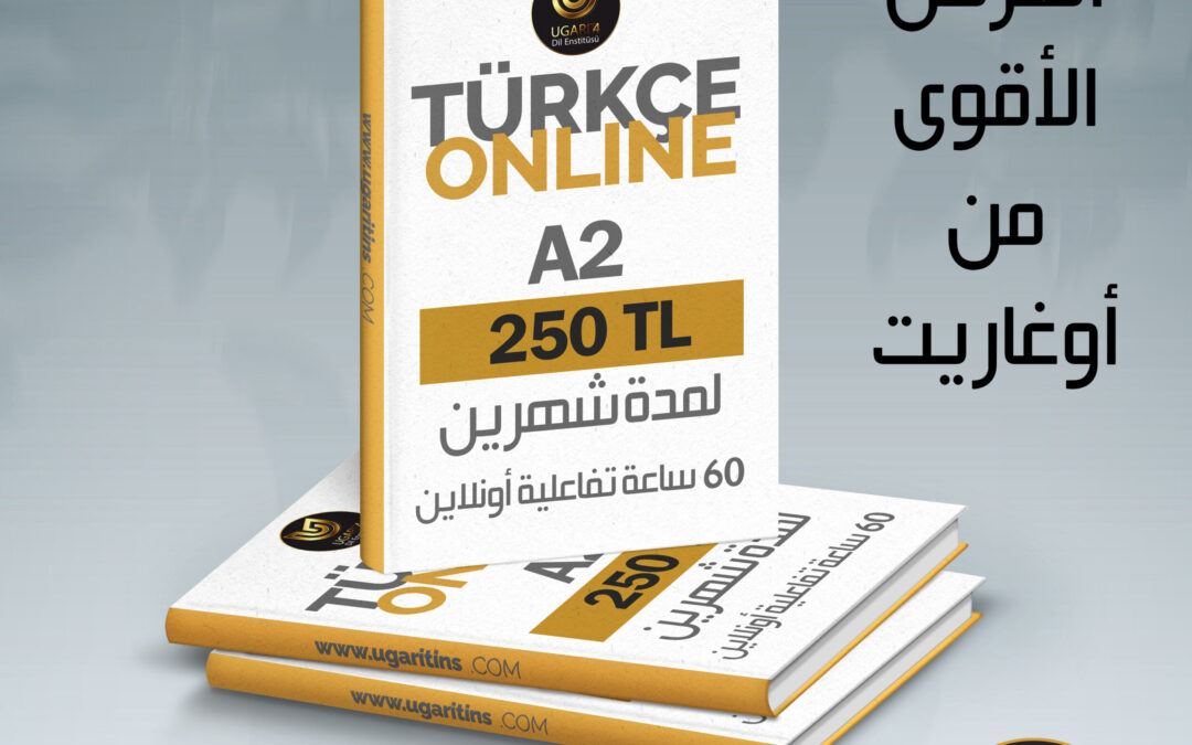 عرض مستوى 2