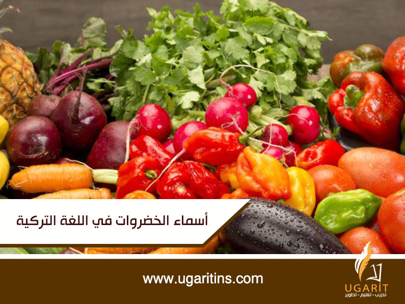 الخضروات باللغة التركية – تعلم اللغة التركية